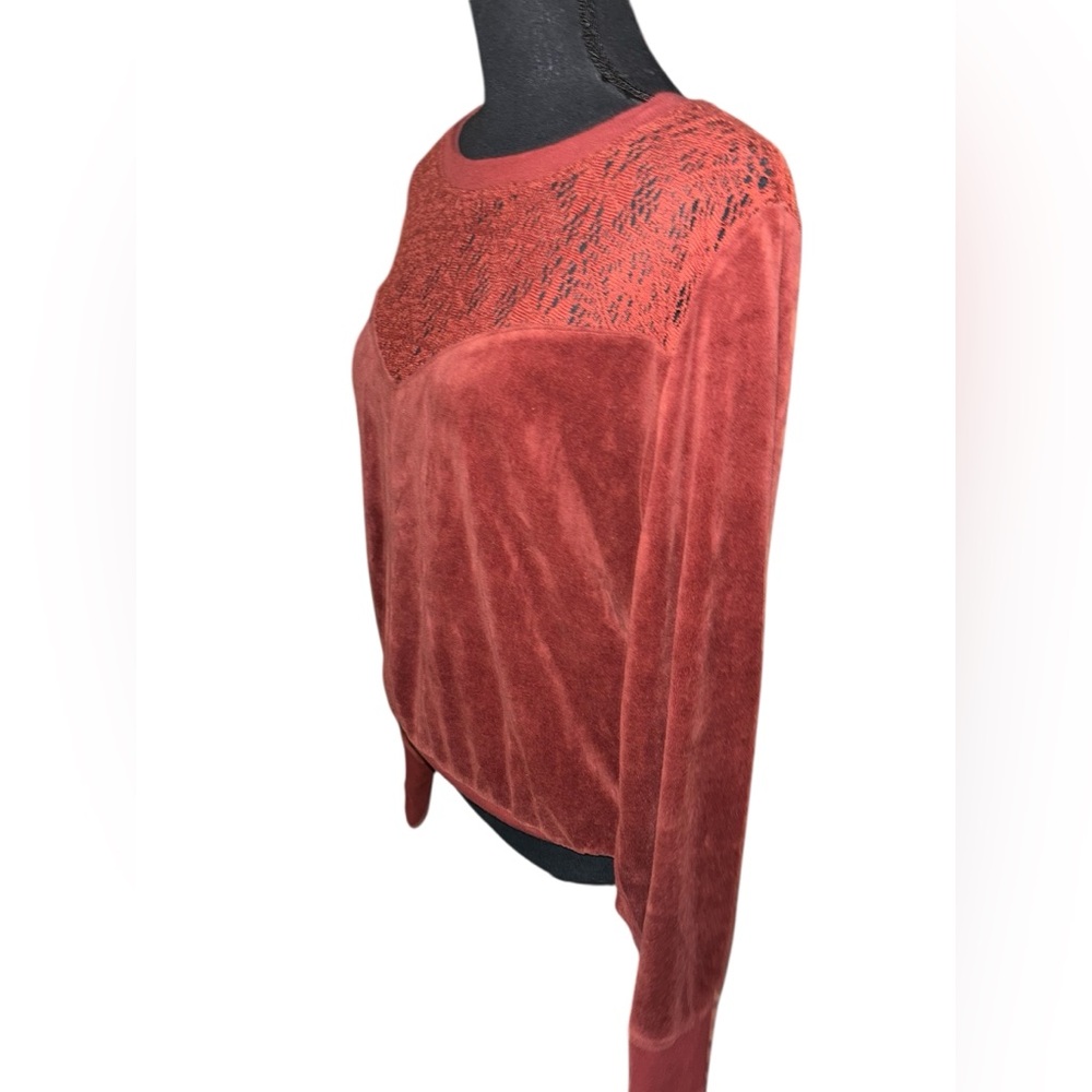 Shyanne velour top with lace detailing XL - Picture 4 of 7